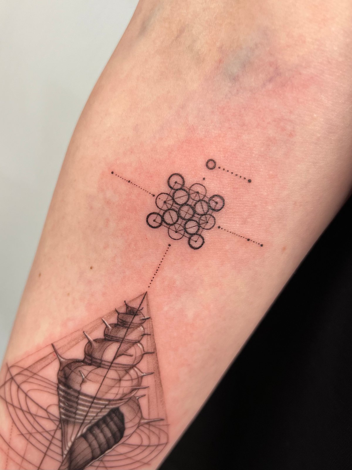 Fineline Tattoo - Arbeit 104