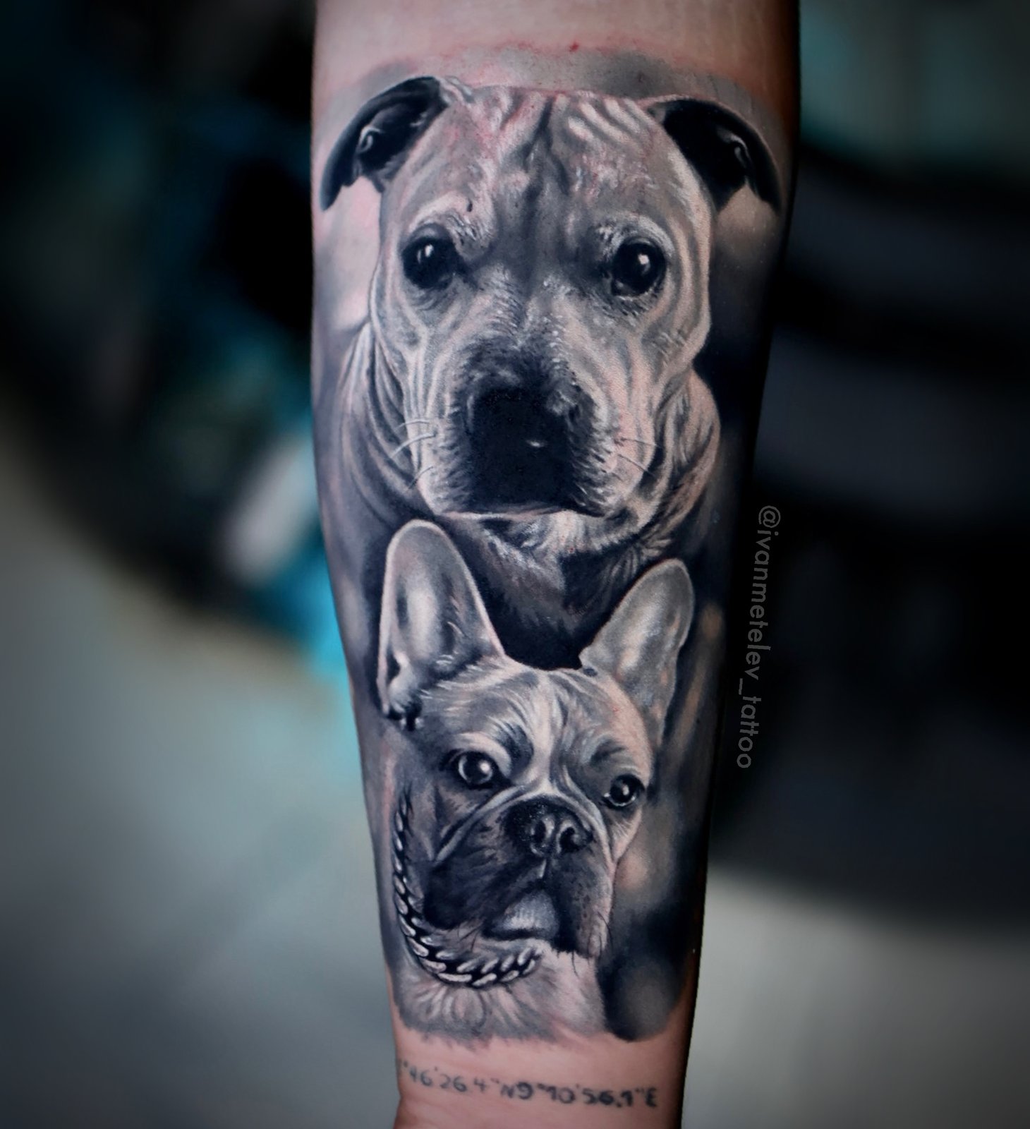 Чёрно-серый реализм Tattoo - Работа 76
