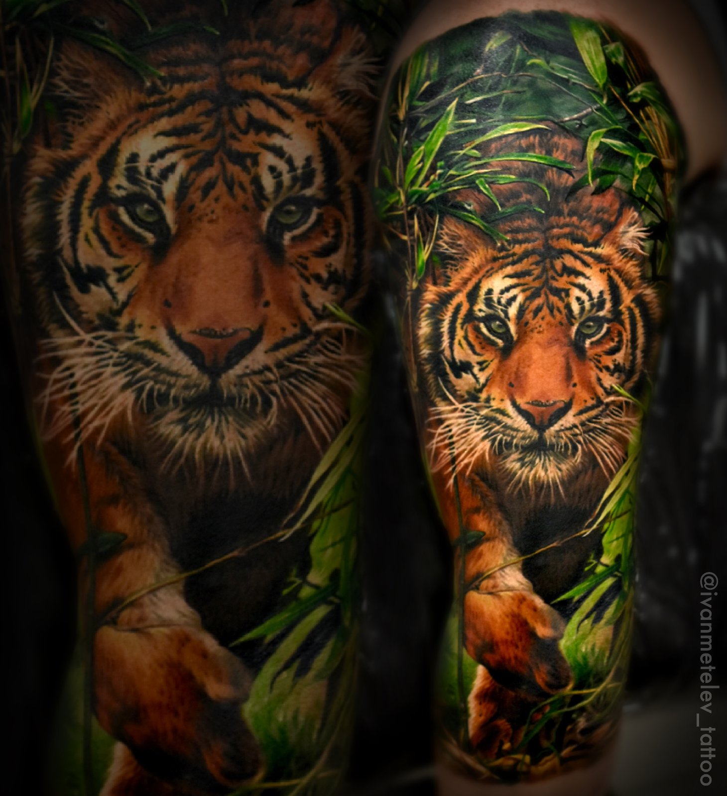 Цветной реализм Tattoo - Работа 41